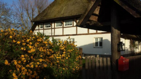 Gemütliche Ferienwohnung unterm Reetdach in Boiensdorf